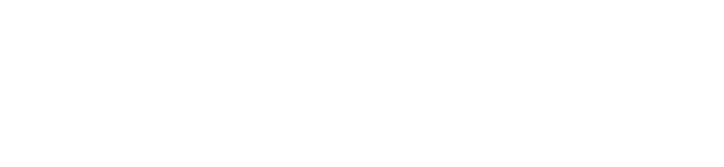 Vetrika Logo_Primary